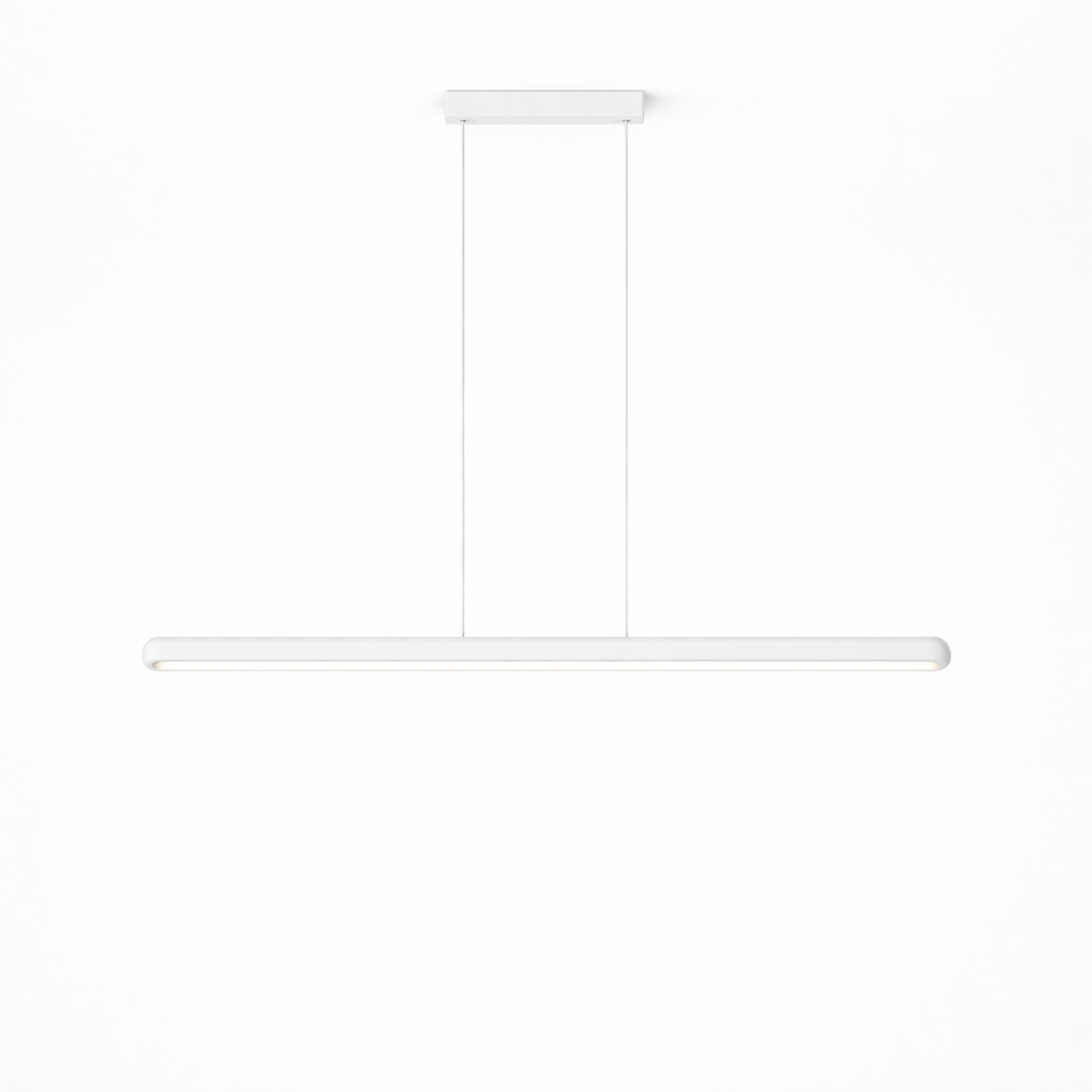 Black White Ceiling Light Fixture Modern